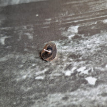 Load image into Gallery viewer, The Bearclaw Studs