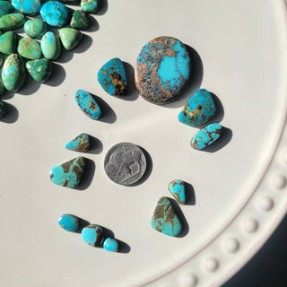 The Scottsdale Buckle