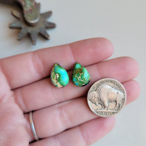 Sonoran Pair - B