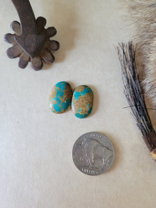 Kingman Turquoise Cab Pair