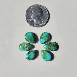 The Rosa Studs - Sonoran - RUSH