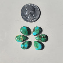 Load image into Gallery viewer, The Rosa Studs - Sonoran - RUSH
