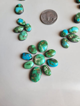 The Rosa Cluster Cab Set - Sonoran