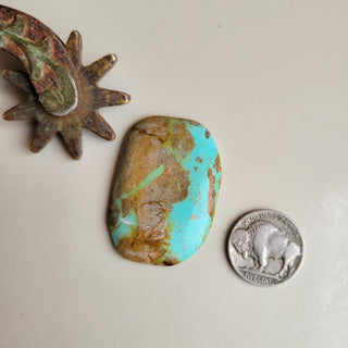 The Hitchita Cabochon