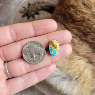 Turtle Pin