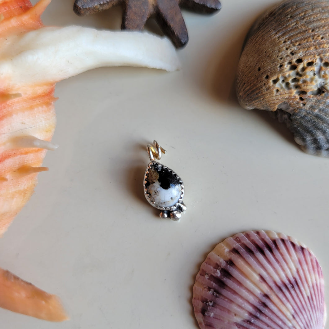 The Gus Charm • White Buffalo • PRE-ORDER