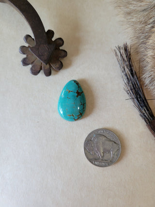 Sonoran Turquoise Teardrop Cab
