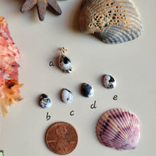 Load image into Gallery viewer, The Gus Charm • White Buffalo • PRE-ORDER