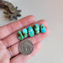 Load image into Gallery viewer, The Blue Bonnet Set - Sonoran