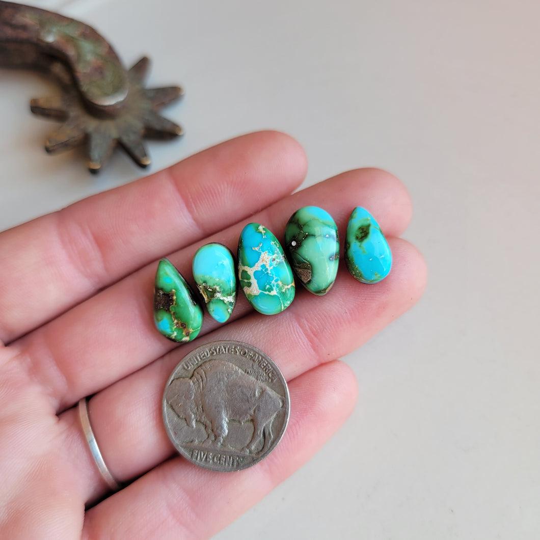 The Blue Bonnet Set - Sonoran