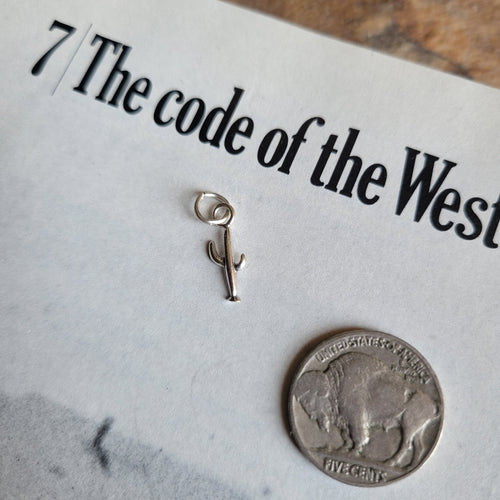 The Saguaro Charm