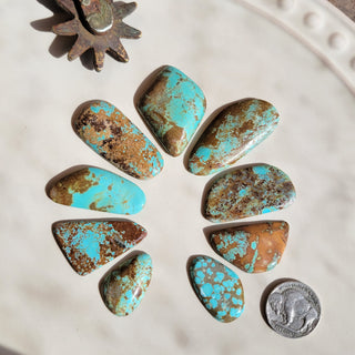 Number 8 Mine Naja Cab Set - LARGE