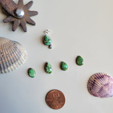 Load image into Gallery viewer, The Sage Charm • Sonoran • PRE-ORDER