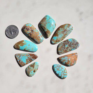 Number 8 Mine Naja Cab Set - LARGE