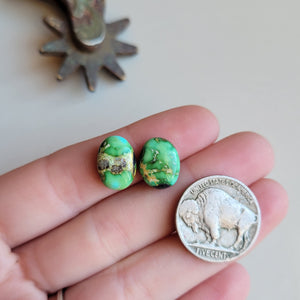 Sonoran Pair - A