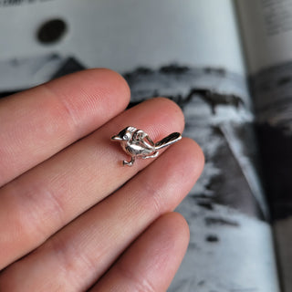 The Roadrunner Charm