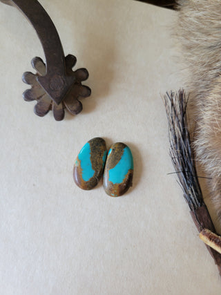 Kingman Turquoise Cab Pair