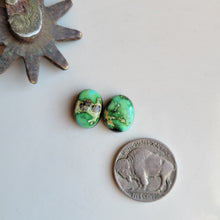 Load image into Gallery viewer, Sonoran Pair - A