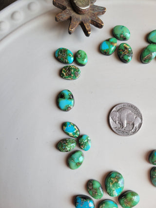 The Rosa Cluster Cab Set - Sonoran