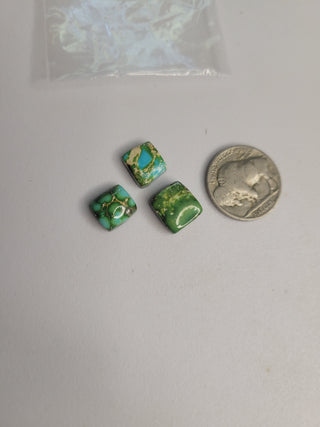 Yahaira- Sonoran Cab x3