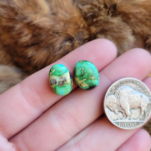Sonoran Pair - A