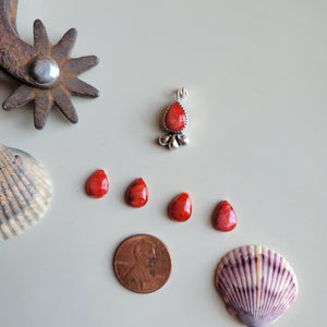 The Independence Charm • Red Spiny • PRE-ORDER