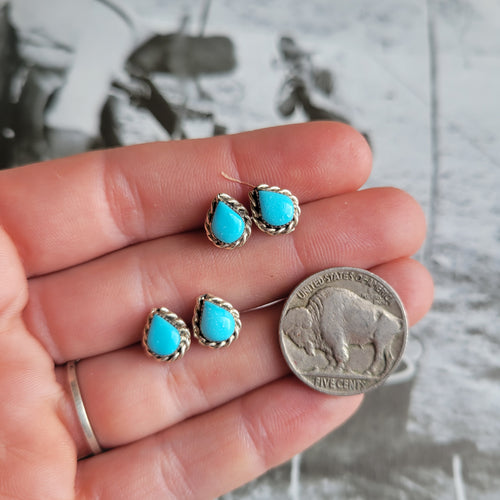 The Kerry Studs