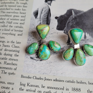 The Shelly Jacket Studs