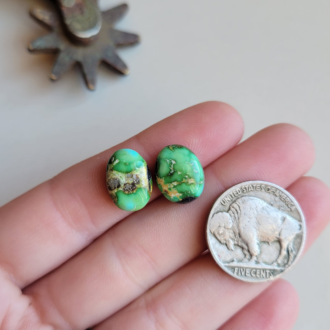 Sonoran Pair - A