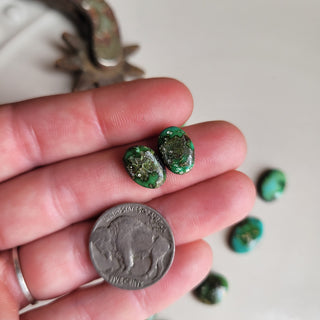 The Augusta Cluster Cab Set - Sonoran