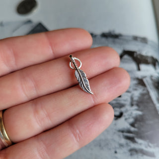 The Feather Charm