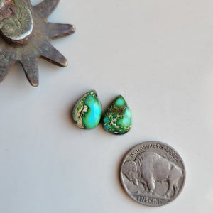 Sonoran Pair - B