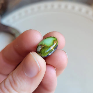 Sonoran Trio - D
