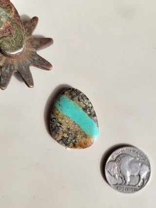 The New Castle Cab - Royston