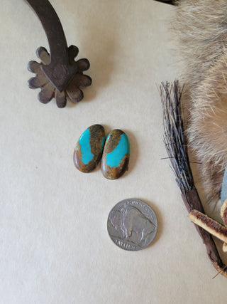 Kingman Turquoise Cab Pair