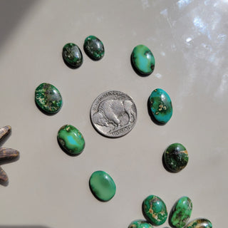 The Augusta Cluster Cab Set - Sonoran