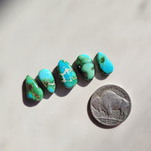 Load image into Gallery viewer, The Blue Bonnet Set - Sonoran