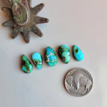 Load image into Gallery viewer, The Blue Bonnet Set - Sonoran