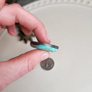 The Anglers Cabochon