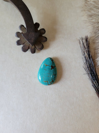 Sonoran Turquoise Teardrop Cab
