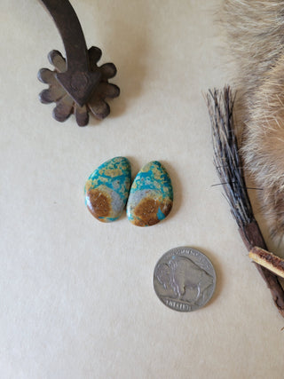 Kingman Turquoise Cab Pair