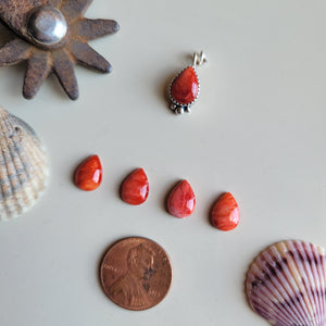 The Gloria Charm • Spiny • PRE-ORDER