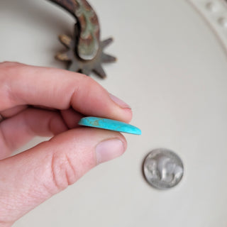 The Cattlemen Cabochon Set of 2