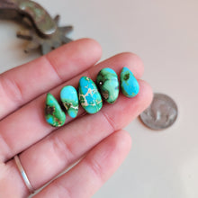 Load image into Gallery viewer, The Blue Bonnet Set - Sonoran