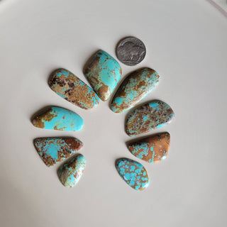 Number 8 Mine Naja Cab Set - LARGE