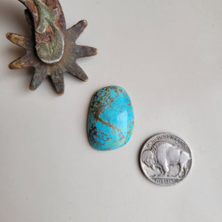 The Canadian Cabochon