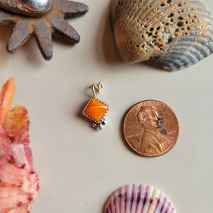 The Stewart Charm •Spiny • PRE-ORDER