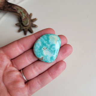 The Anglers Cabochon