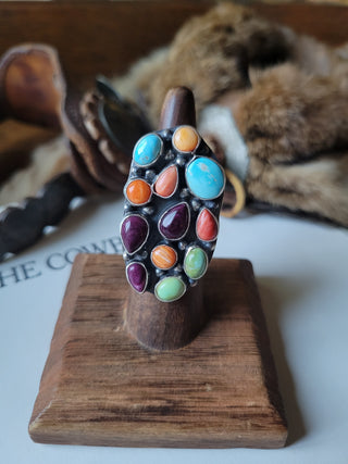 The Coat of Many Colors Cluster Ring - Adjustable - Sonoran & Spiny