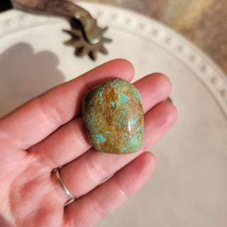 The Crow Cabochon - #8 Mine